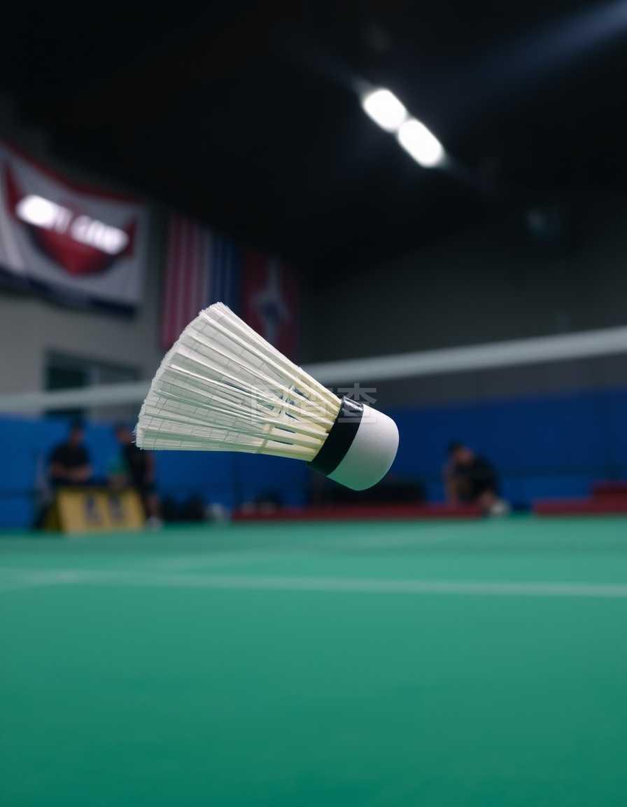 团队中年轻 团队中年轻